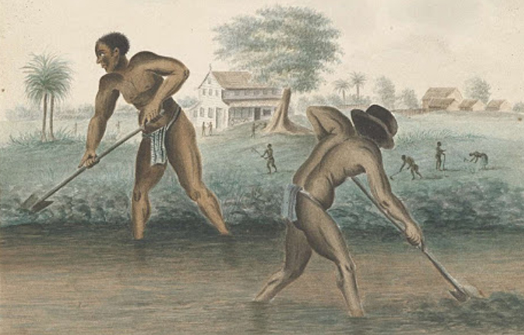 Tot slaafgemaakte mannen graven trenzen